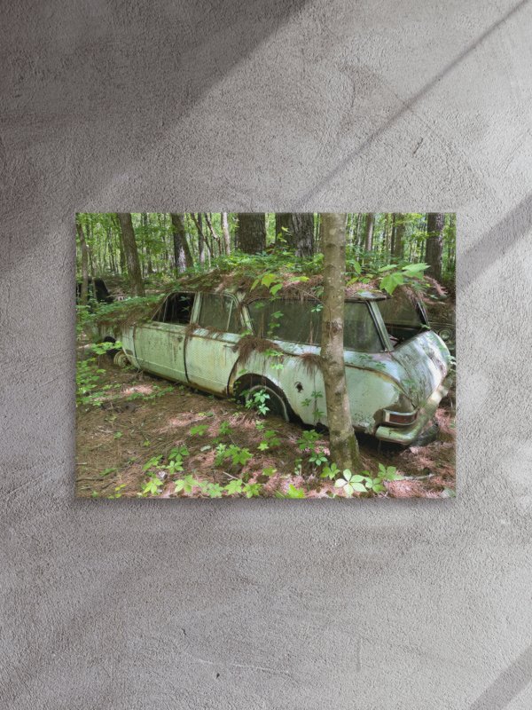 Old Car City USA – Nature Takes the Wheel product image (1)