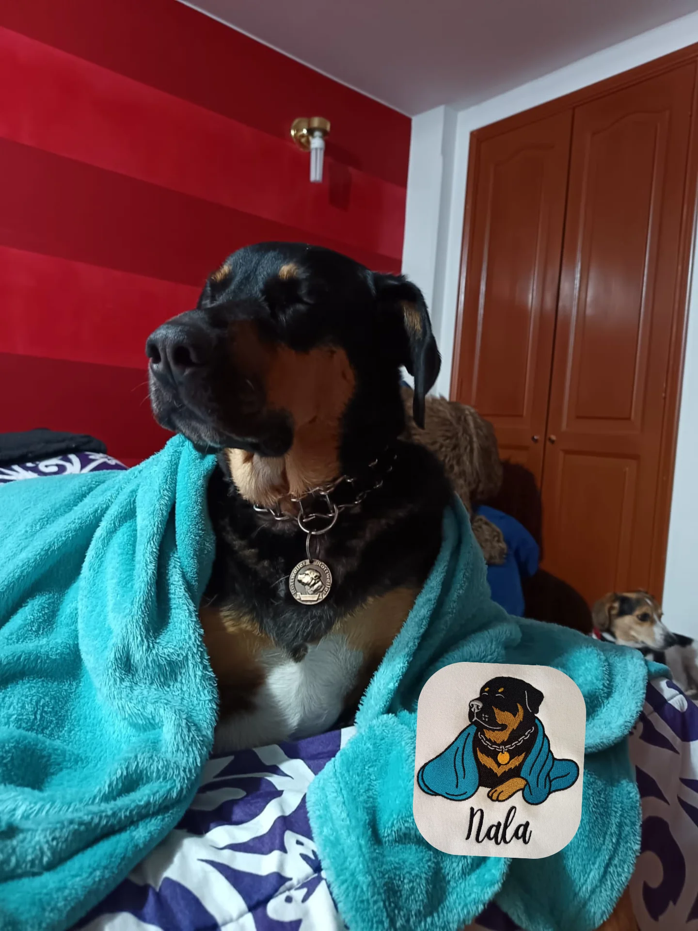 NALA💙 / EMBROIDERED HOODIE product image (5)