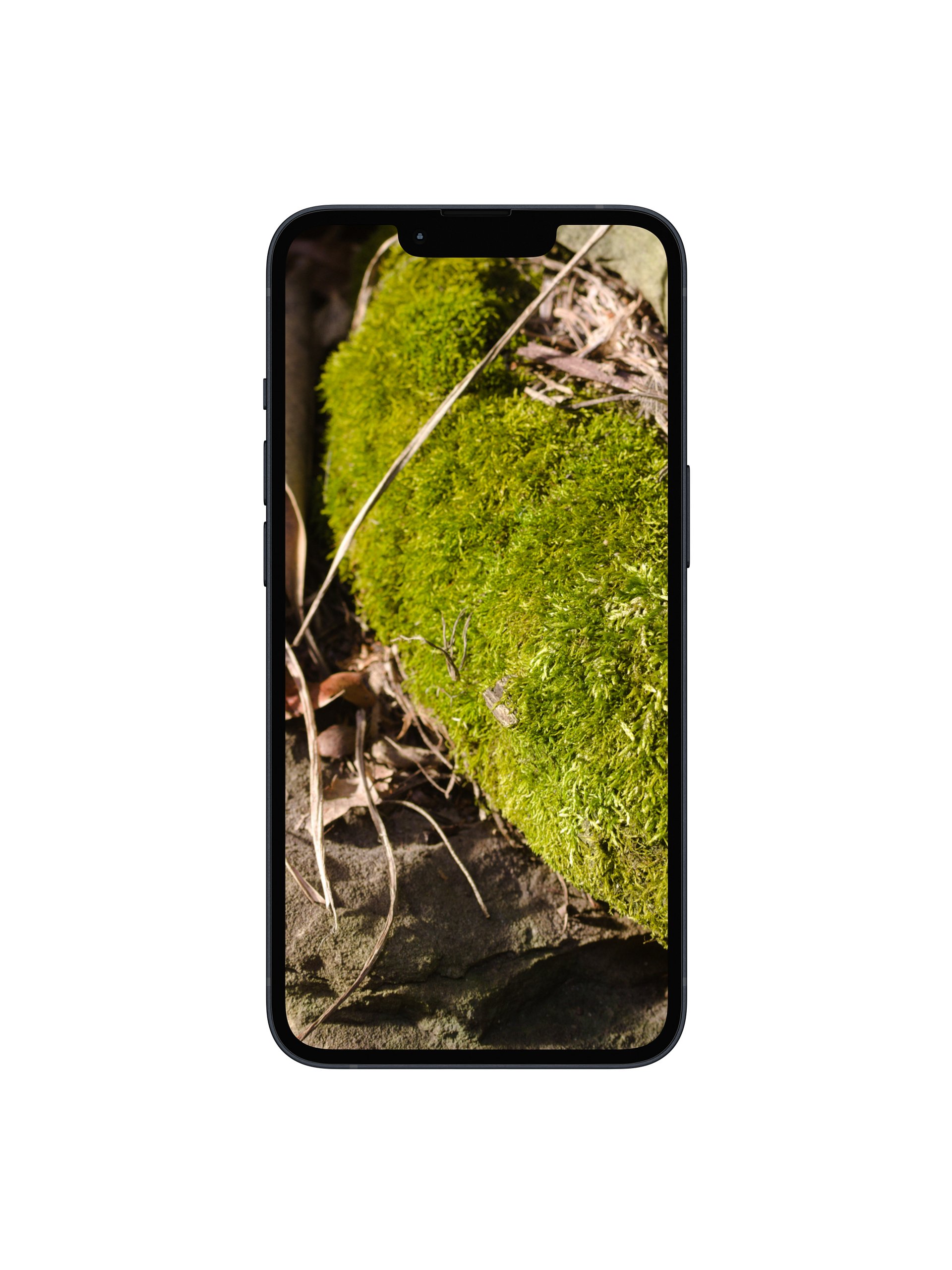 Moss on the Rocks Digital Wallpaper Set product image (1)