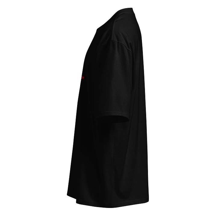 UFO Ultraconservative Family Oriented Oversized Tee product image (2)