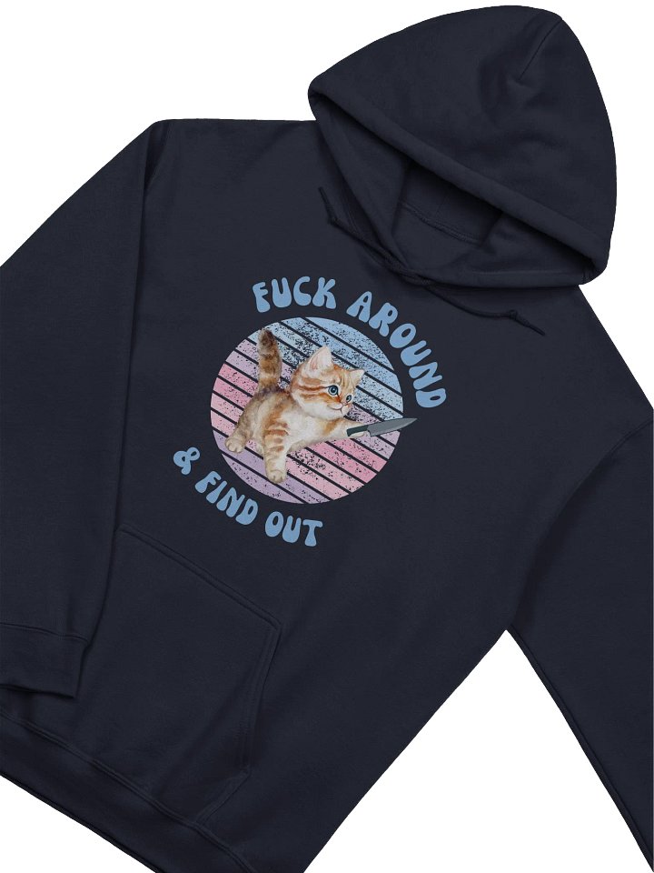 Fuck Around And Find Out Hoodie product image (2)
