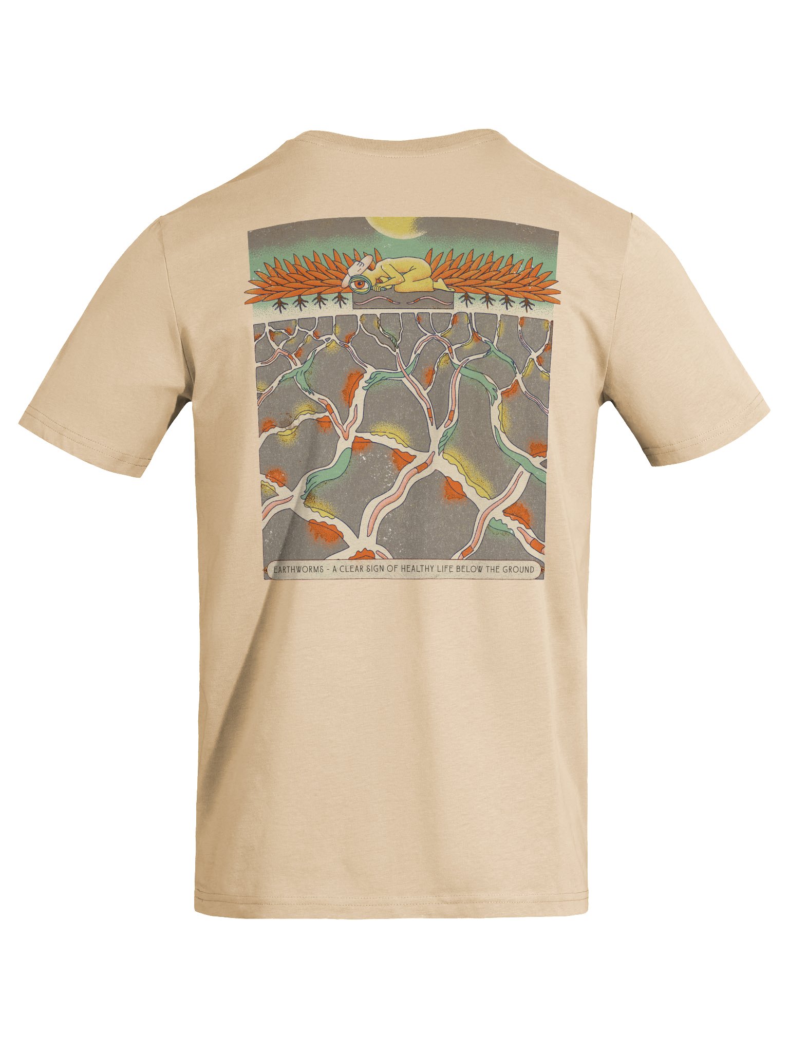 Searching for worms (light colours) product image (49)