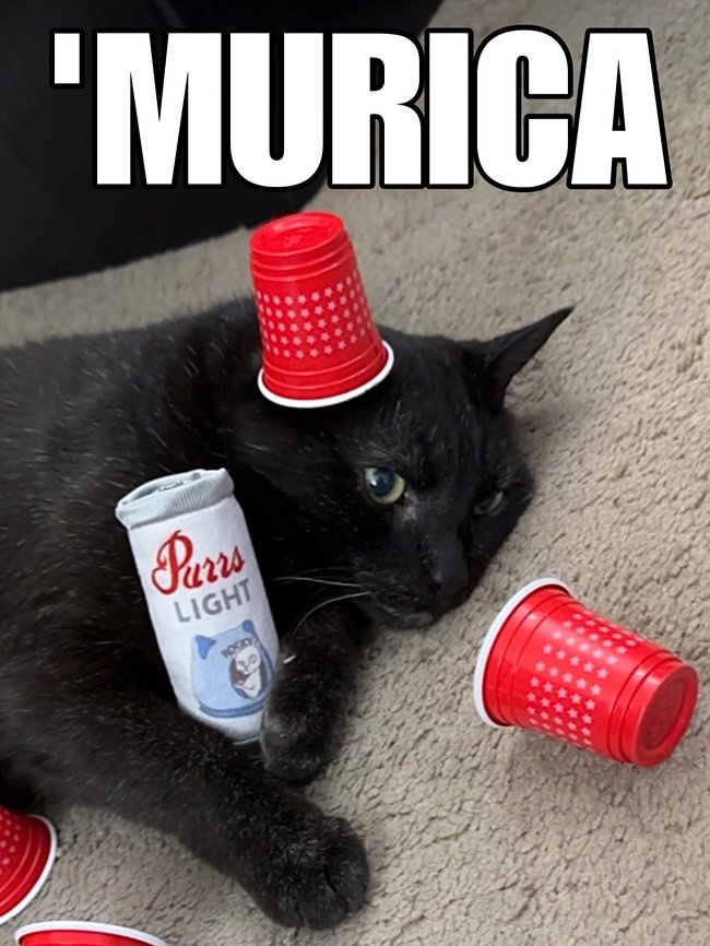 Manny Halloween Cat