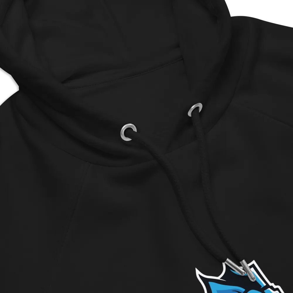 NZMOEY Logo SOL'S Unisex Eco Raglan Hoodie product image (6)