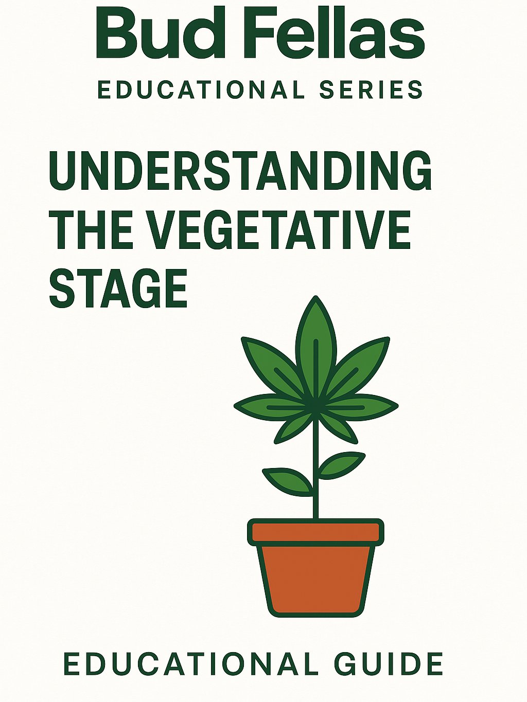 Understanding the Vegetative Stage – Educational Guide product image (1)