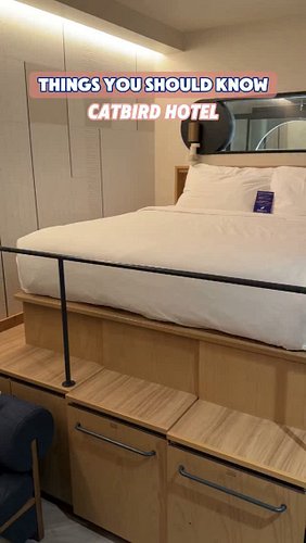 Here's what you need to know if you're looking to stay at Catbird Hotel in the RiNo District in Denver, CO. Dog friendly, roo...
