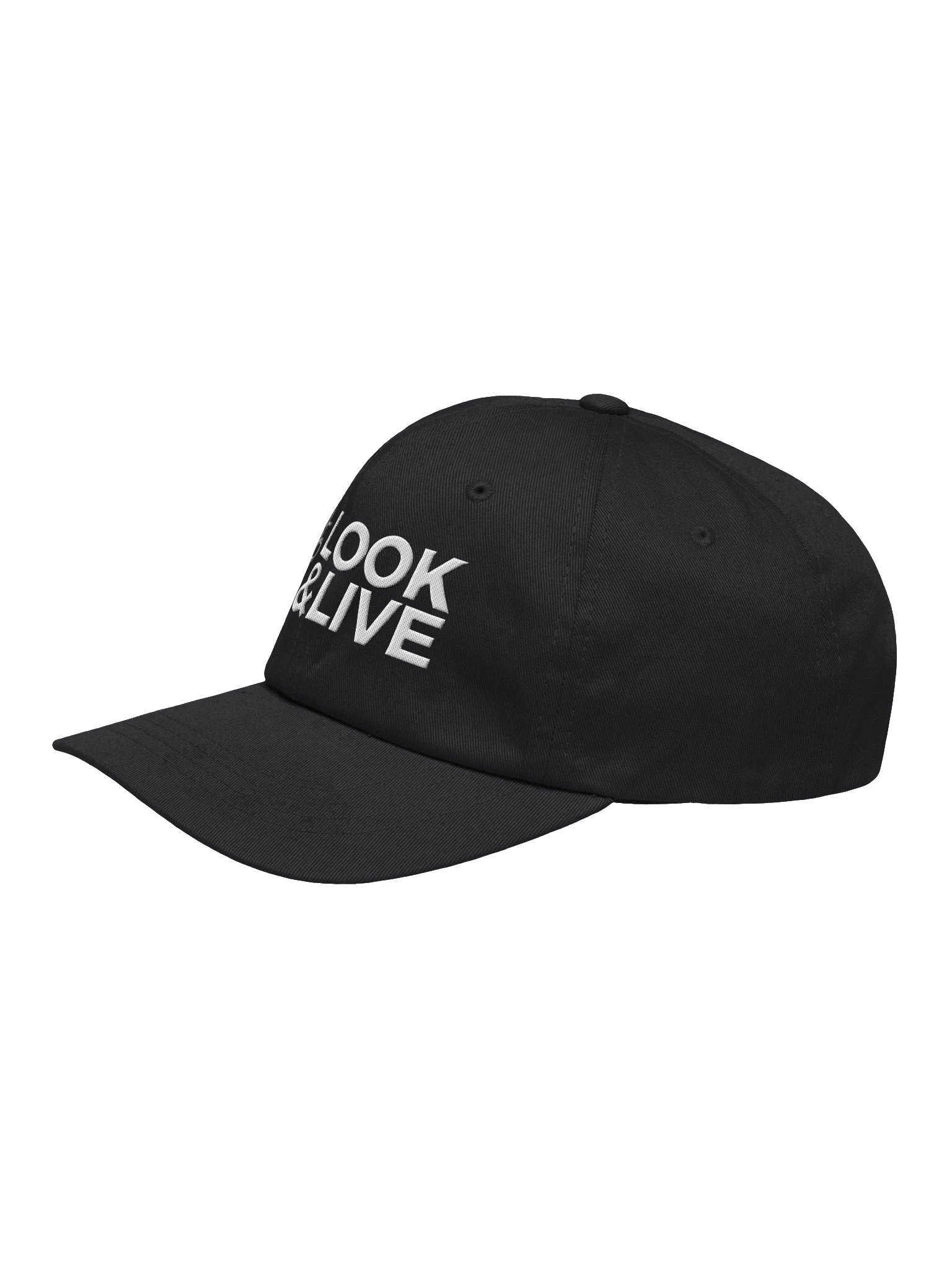 Look & Live Dad Hat product image (19)