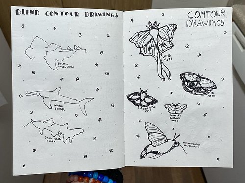 contours :3 ☆ #art #artist #artistsoninstagram #drawing #contourdrawing #sketchbook
