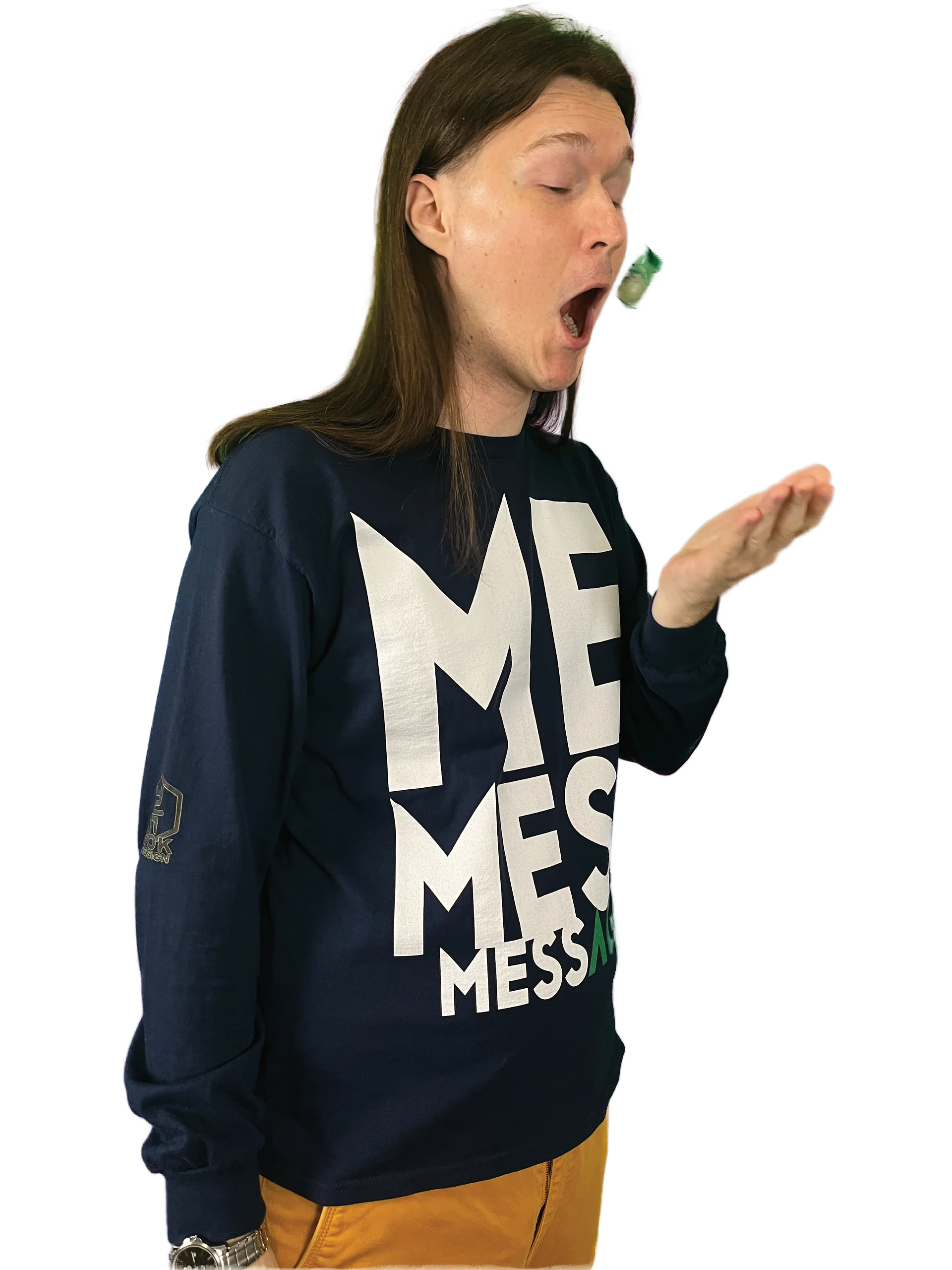 Evolution of Messship //cotton longsleeve\\ worldwide! product image (6)