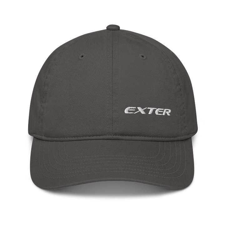DAD HAT product image (13)