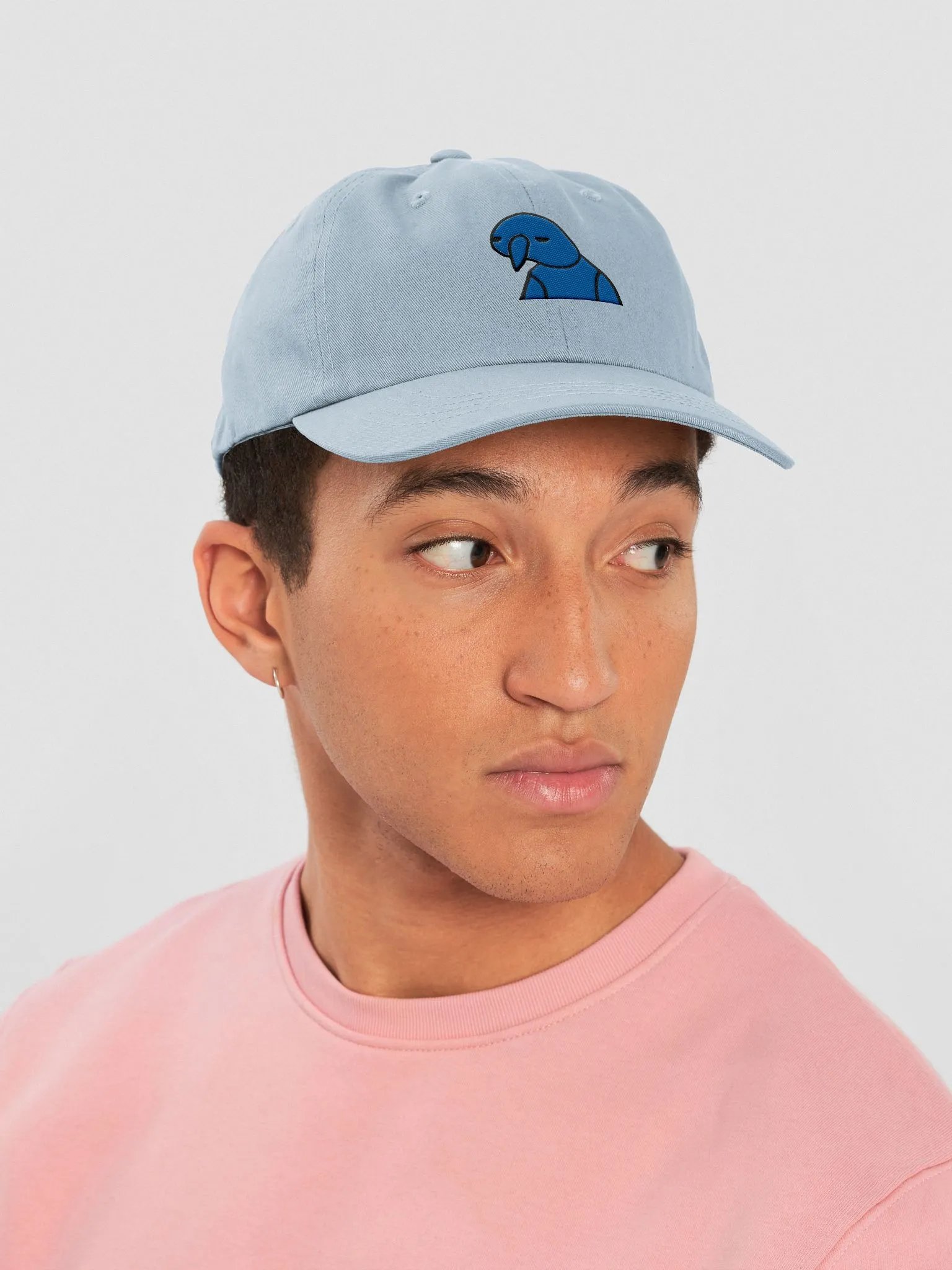 BruSki Dad Hat product image (6)