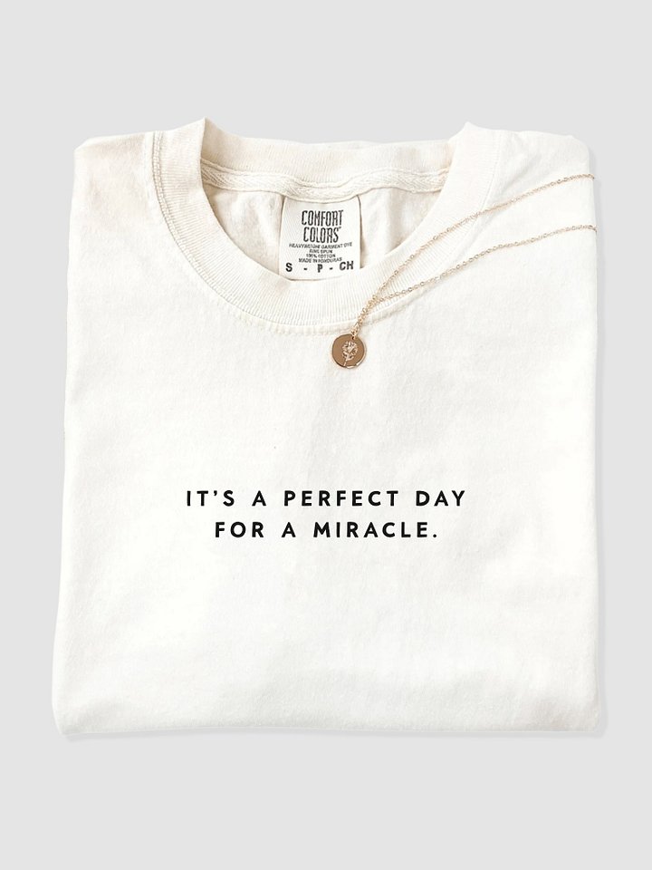 It’s a Perfect Day for a Miracle Tee product image (1)