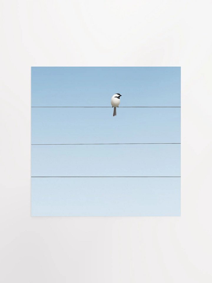 One Bird on a Wire product image (1)