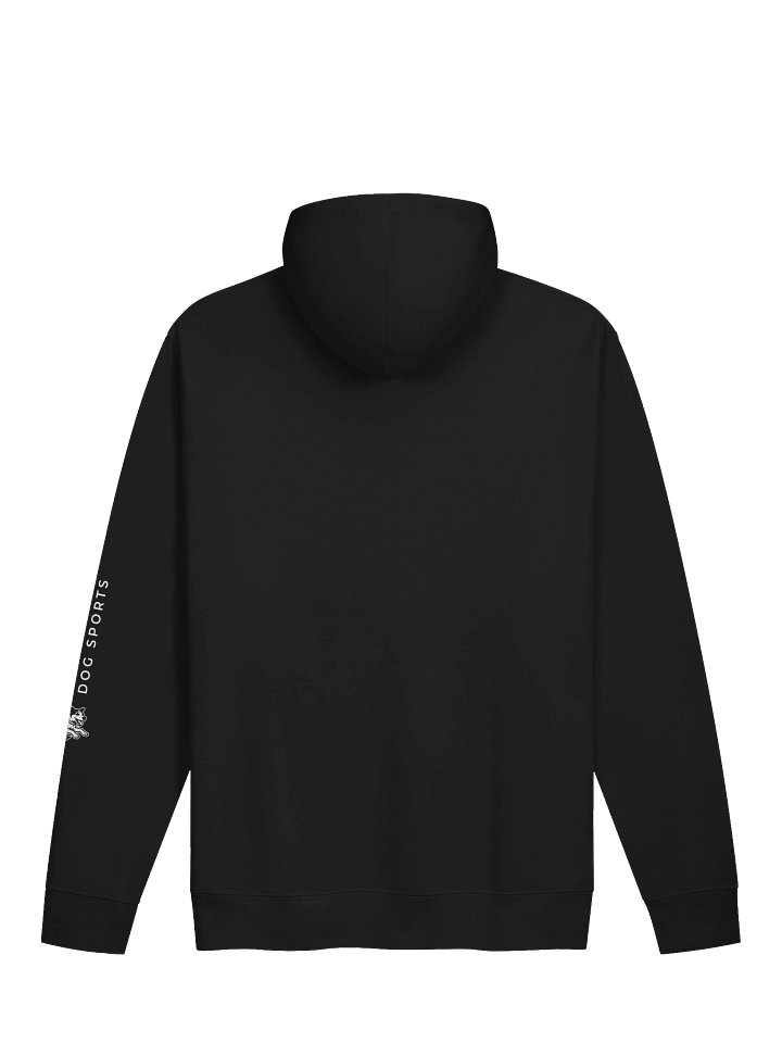 RDS Pullover Hoodie 2 product image (4)