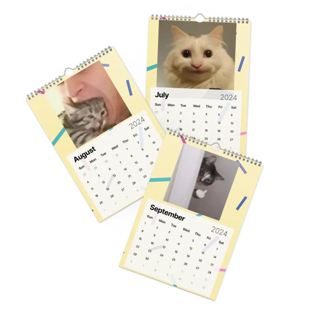 Wall Calendar (2024): Meme Cats product image (11)
