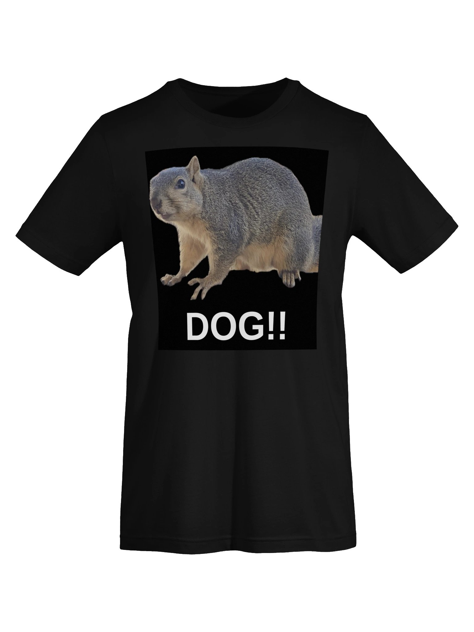 Squirrel Dog Tee In the Bone Zone product image (5)