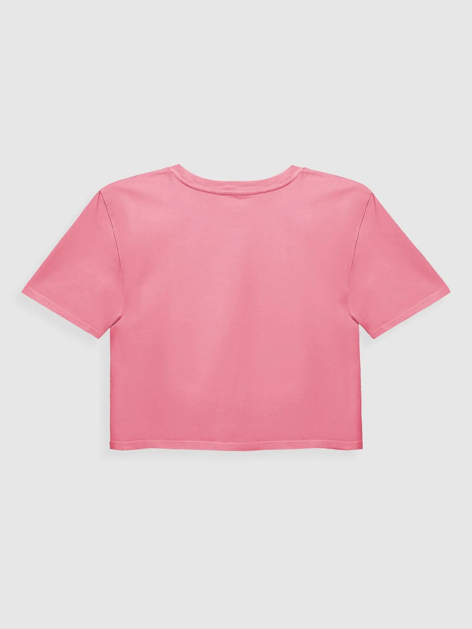 Rainbow Night Squirrel Crop Top product image (2)