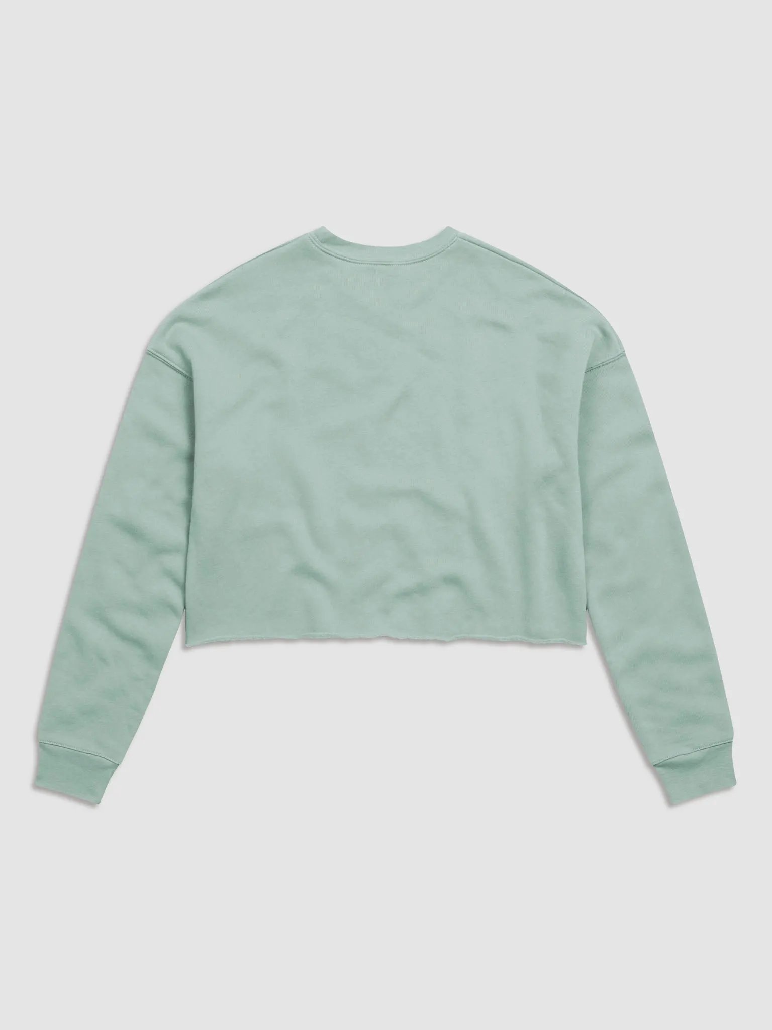 PTT 5.0 Women's Crop Sweater product image (33)