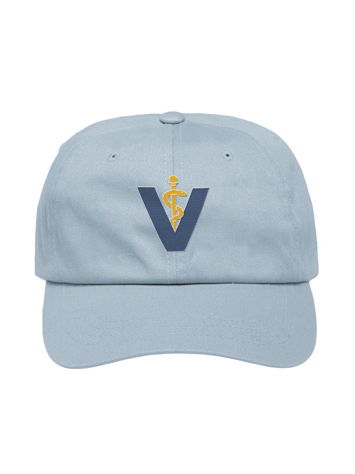 Veterinary Caduceus Light Blue Baseball hat product image (1)
