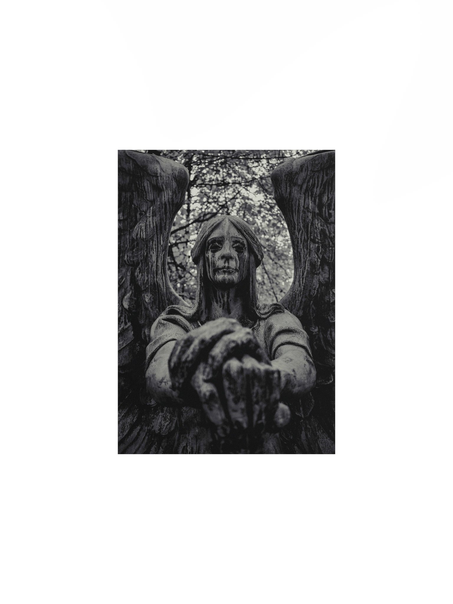 Haserot Photo Print product image (1)