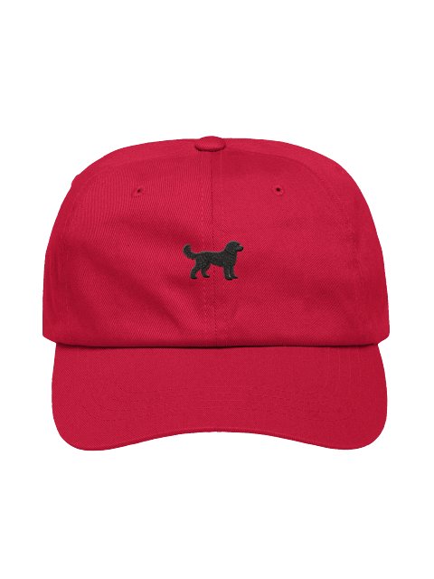 Gia — Goldendoodle Hat