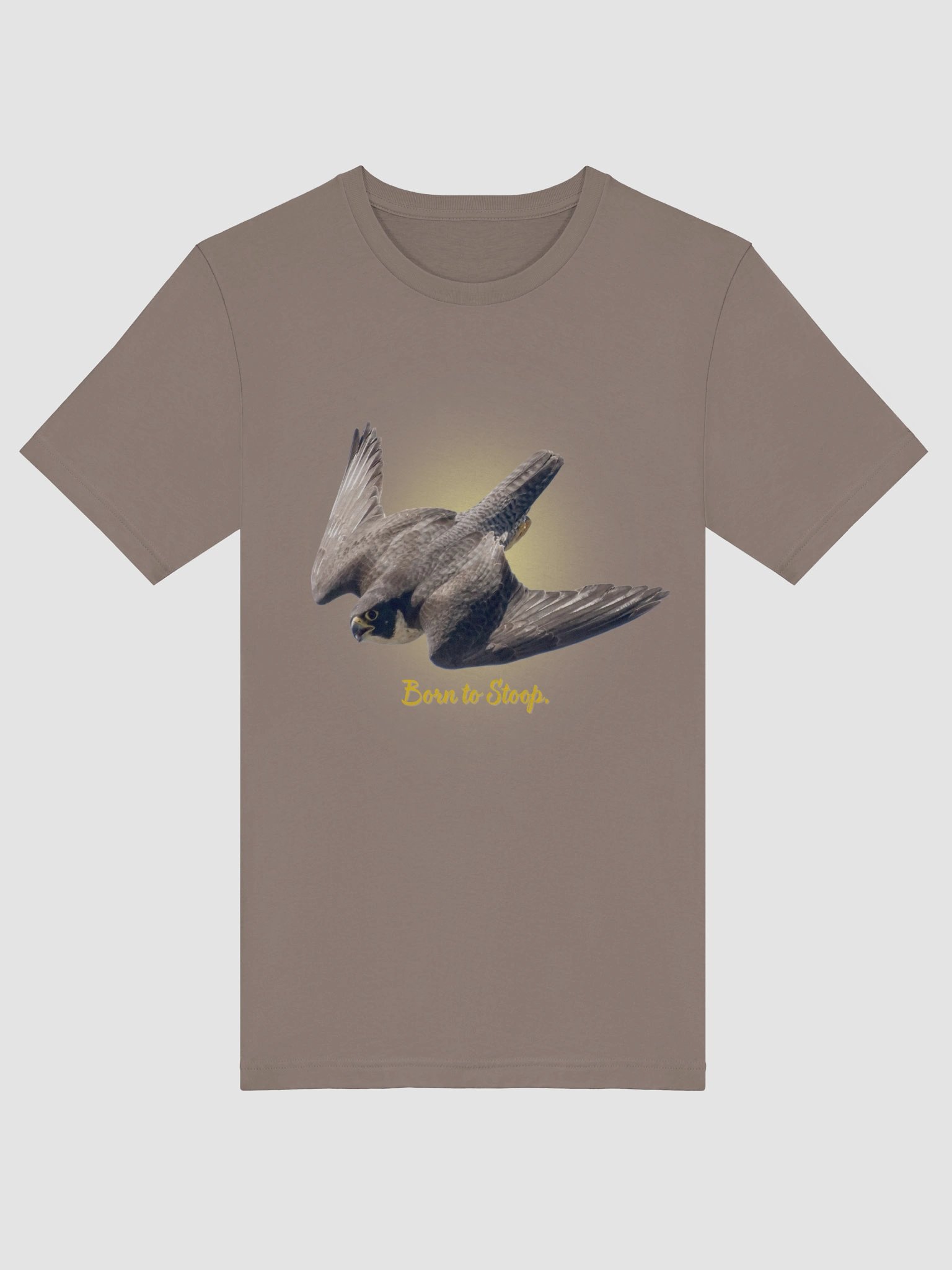 The Wandering Falcon — freedom in motion product image (3)
