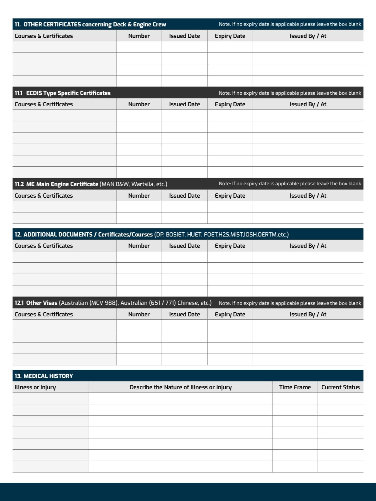 Professional Seafarer CV Template (ATS Friendly & International Standard) product image (4)
