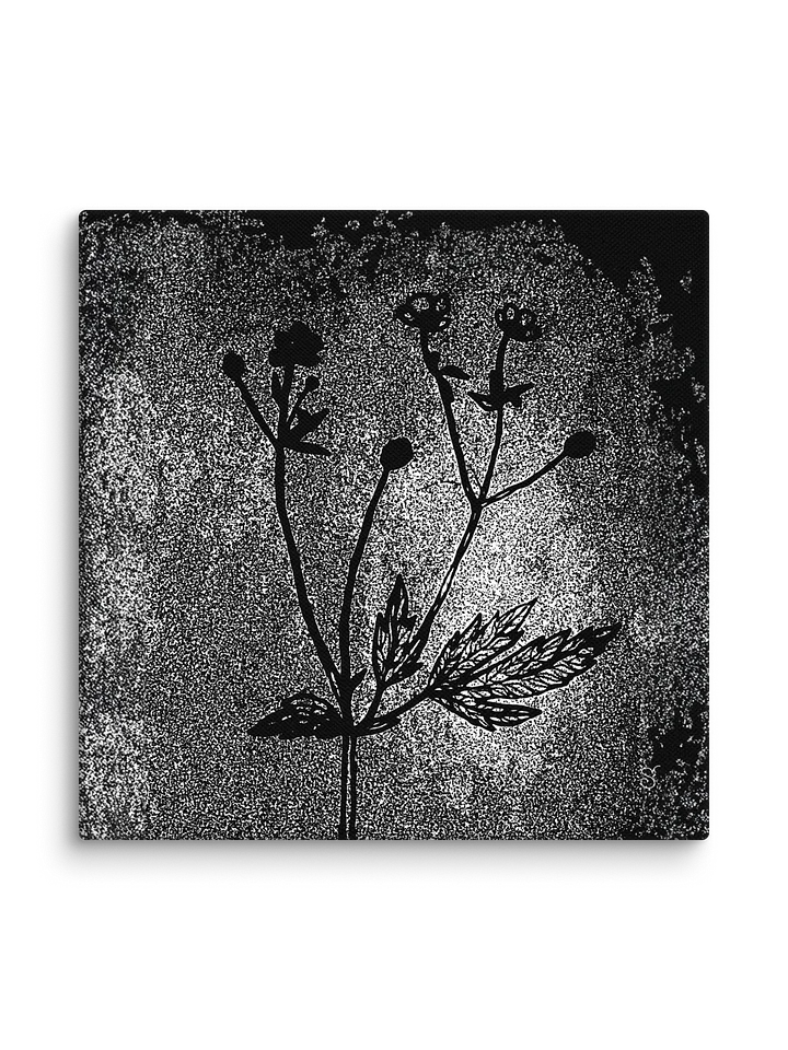 Visionary Canvas Collection - Wild Flowers Dark Stylish product image (2)