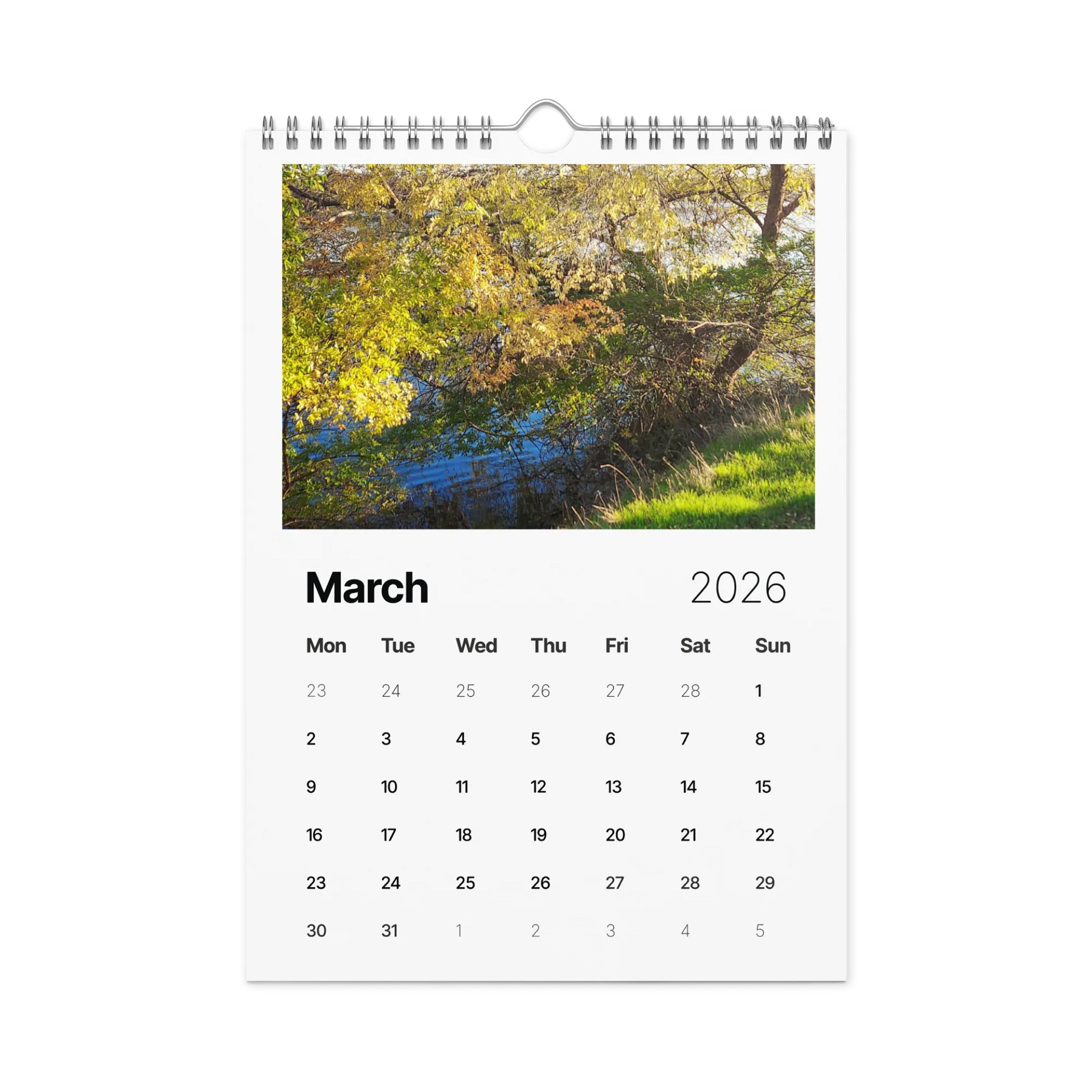 Canopy of Time: 2026 Wall Calendar product image (9)