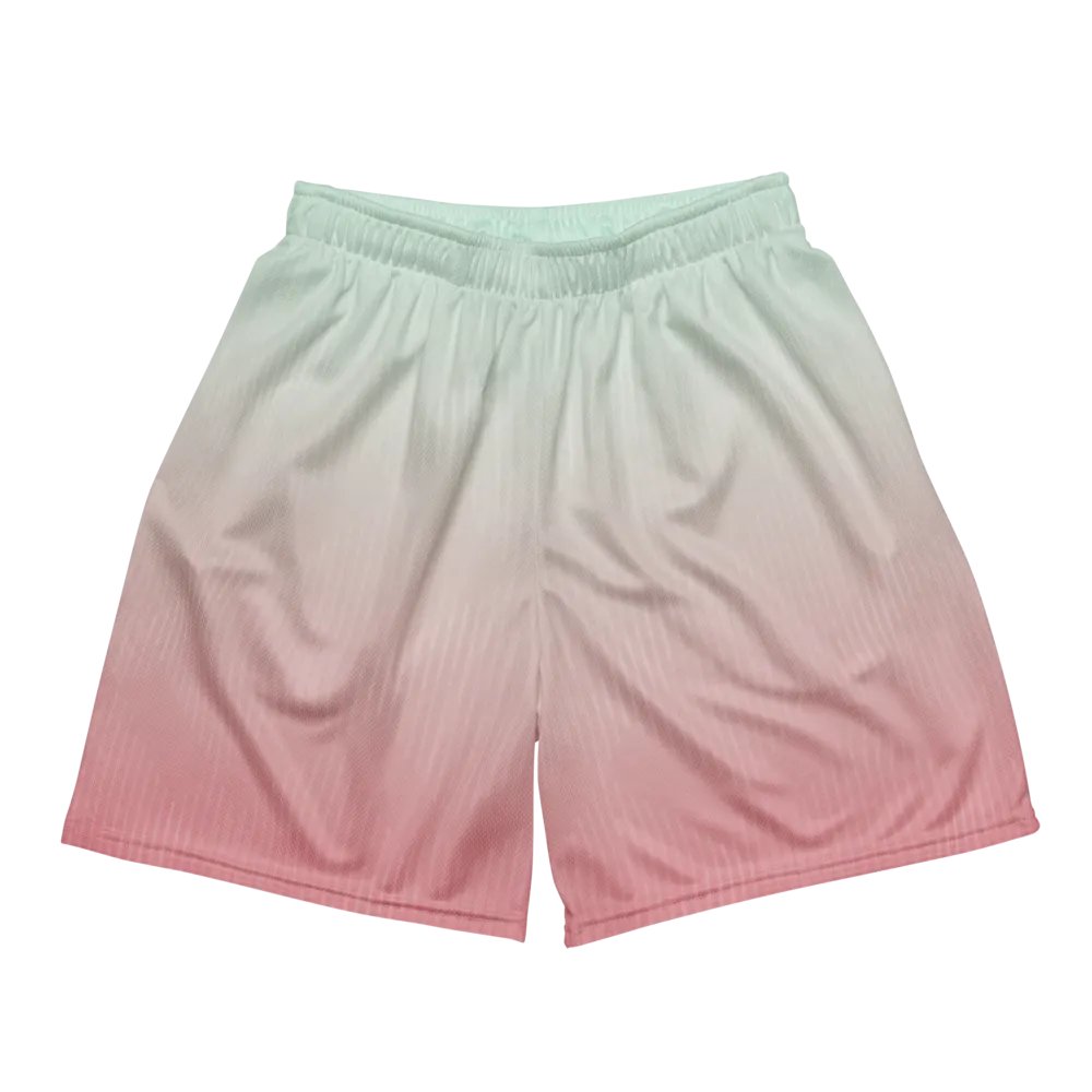 EcoChic Gradient Mesh Shorts product image (2)