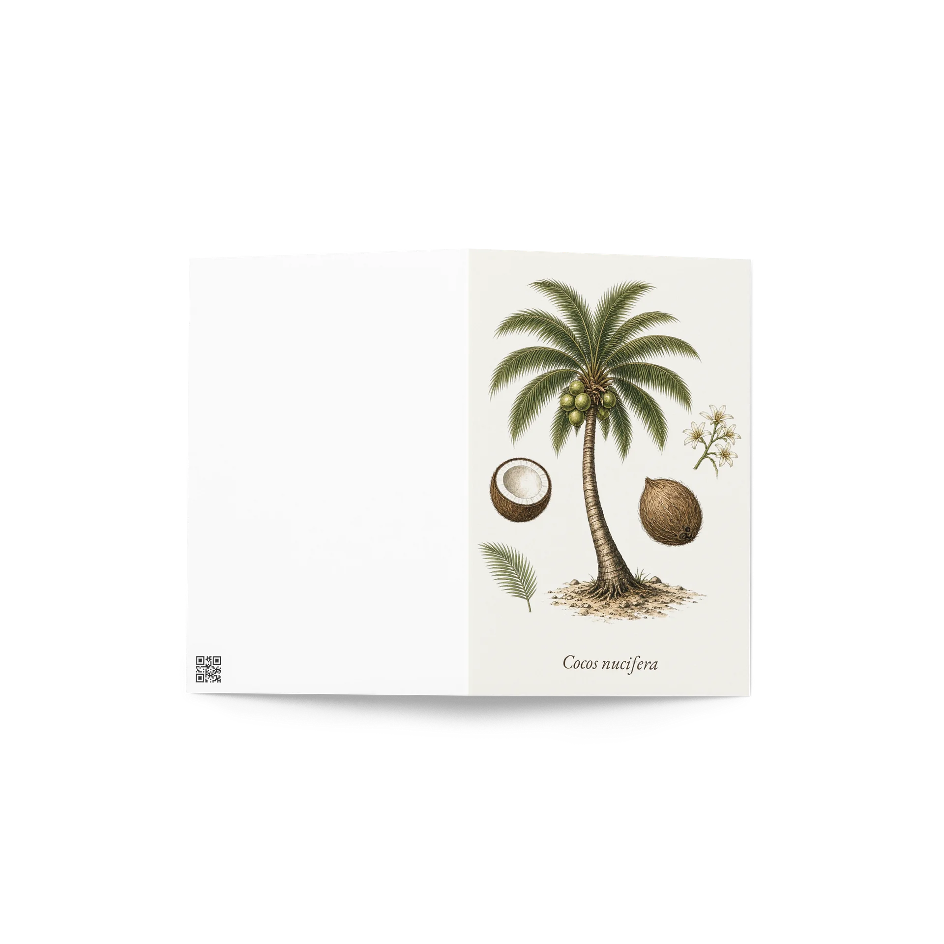 Vintage Botanical Coconut Greeting Card product image (4)