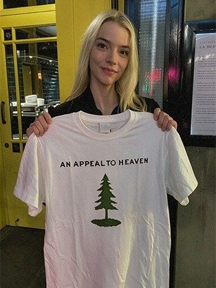 AN APPEAL TO HEAVEN SHIRT product image (9)