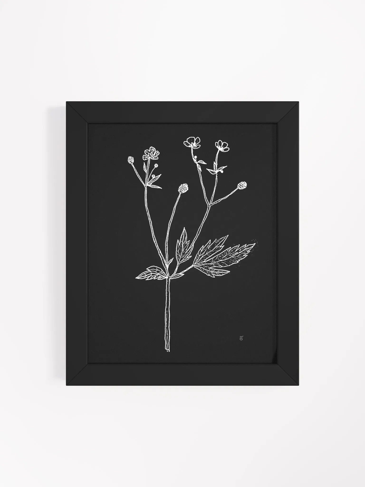 Botanical Monochrome Elegance Poster - Wild Flowers Dark product image (10)