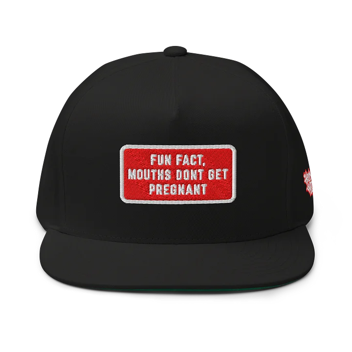 MOUTHS DONT GET PREGNANT - Embroidered SnapBack product image (1)
