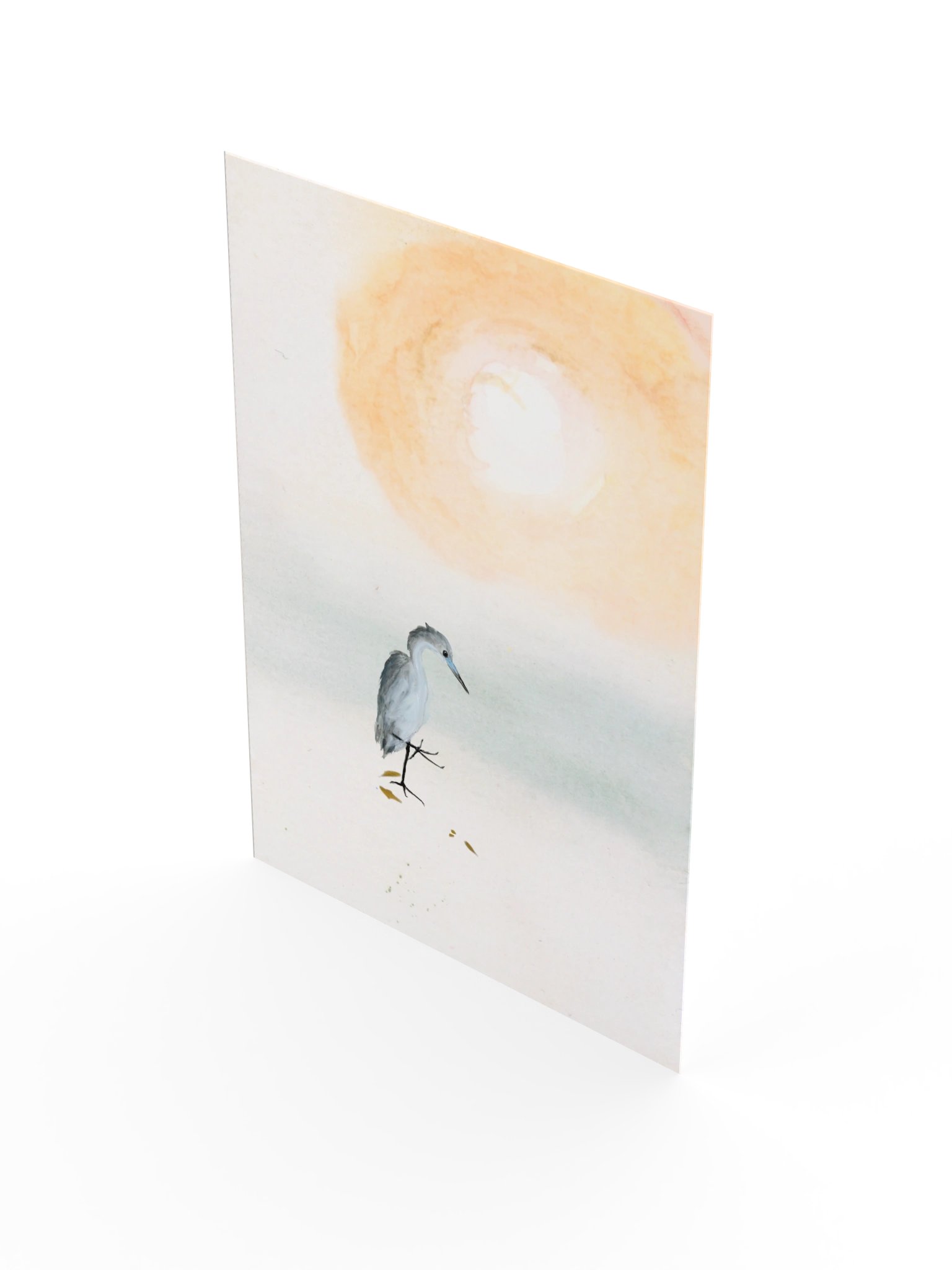 Baby Blue Heron - Fine Art Print product image (27)