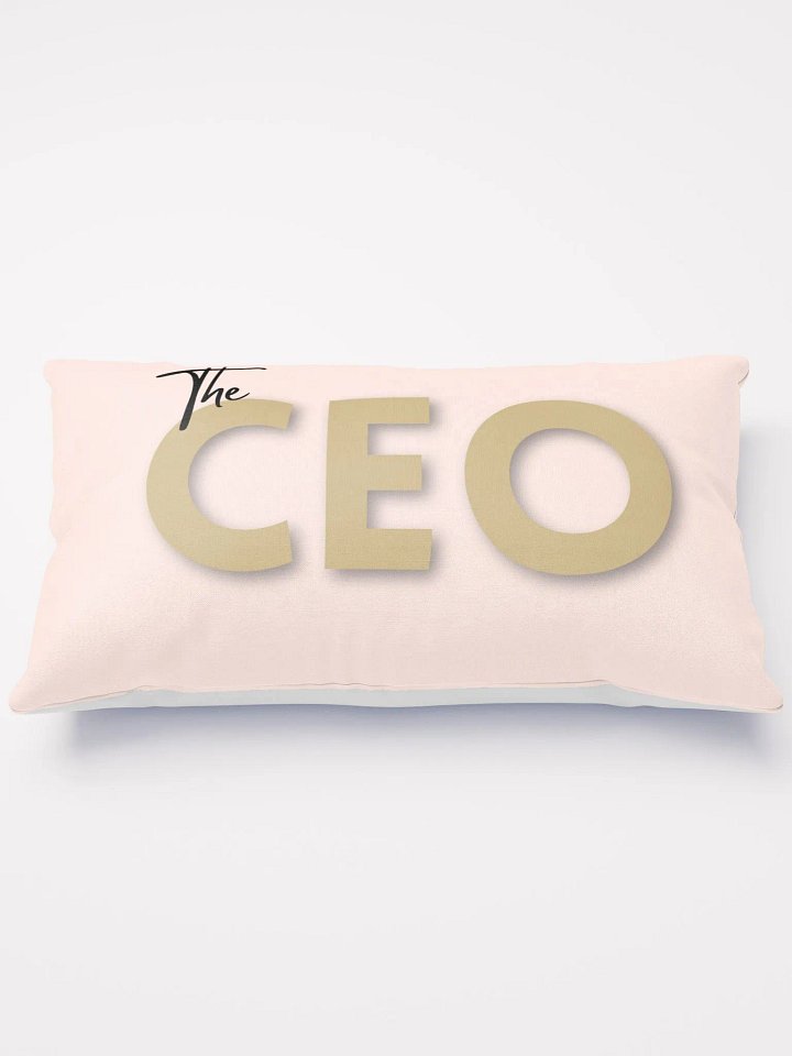 The CEO Pillow - Blush product image (2)