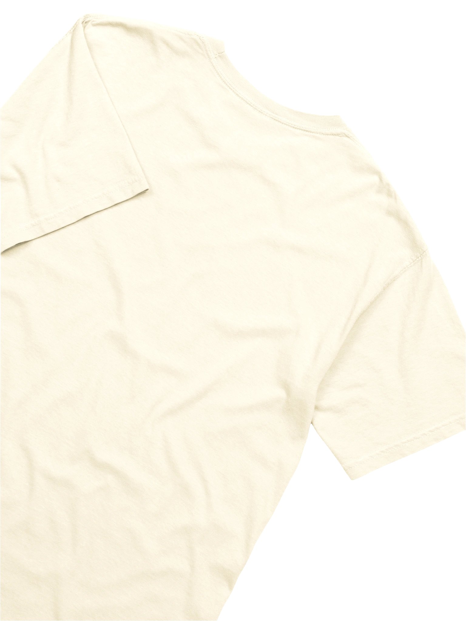 Squeeze the Day Orange Tee product image (4)
