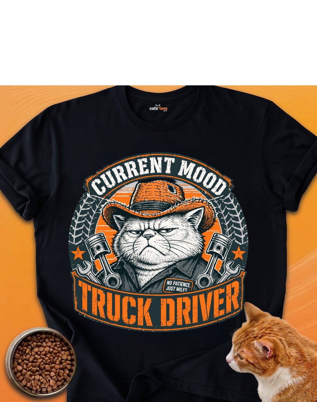 Truck Driver product image (1)