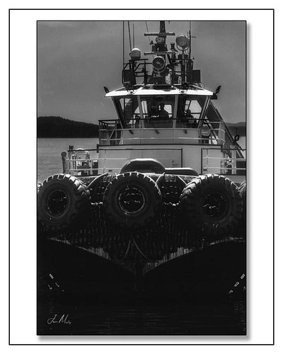 Dead ahead — the Marshall Foss bow-on in Bellingham Bay. Tire fenders packed tight, tow staple centered, built to work
Www.ja...