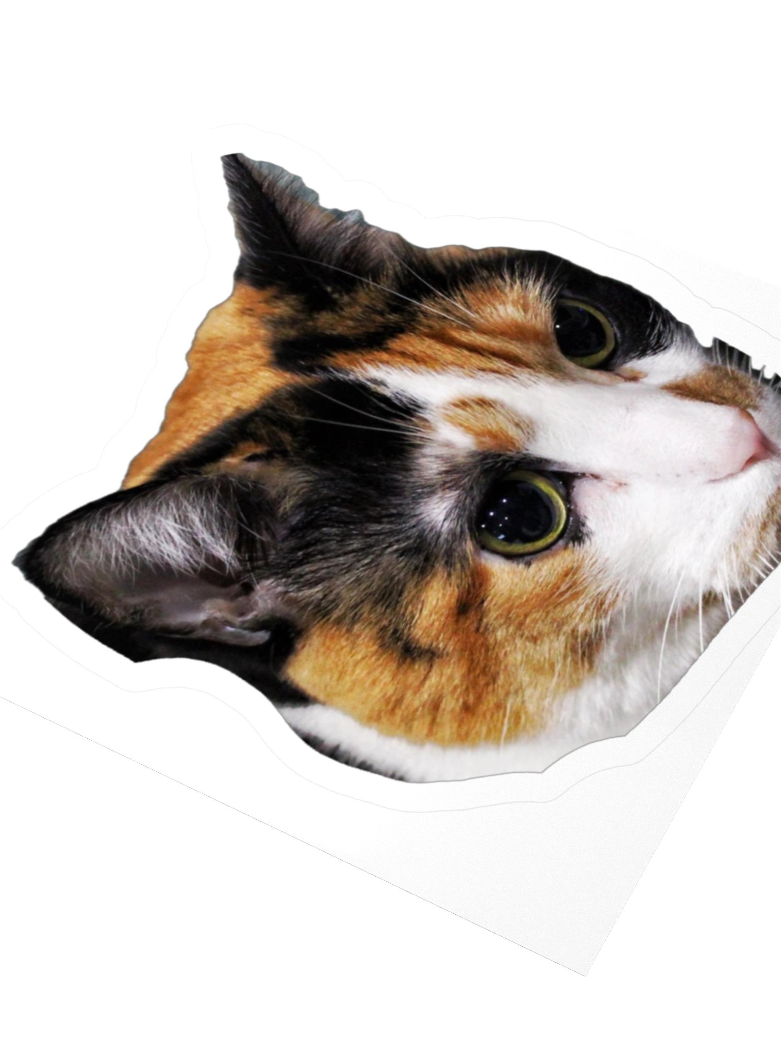 Captain Noodle Sticker product image (10)