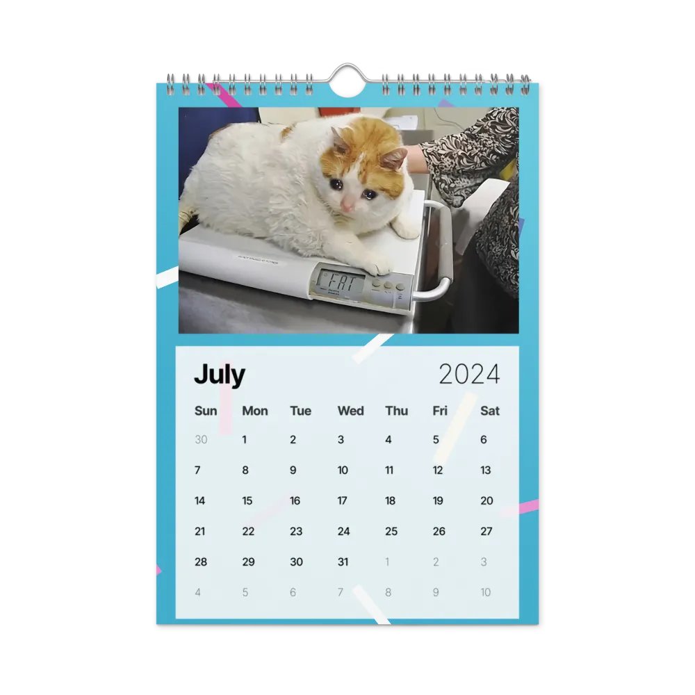 Wall Calendar (2024): Meme Cats product image (10)