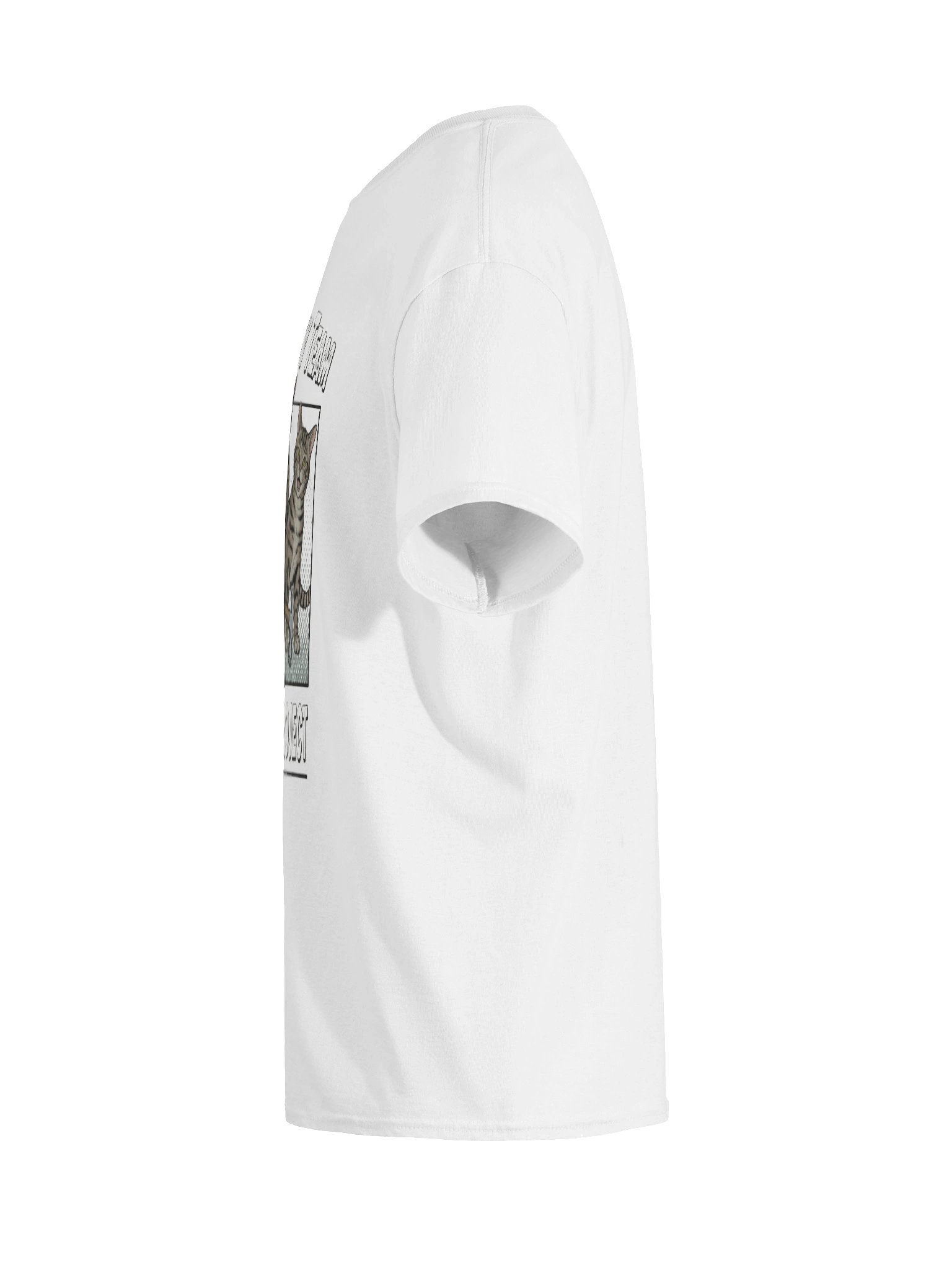SITE SECURITY product image (11)