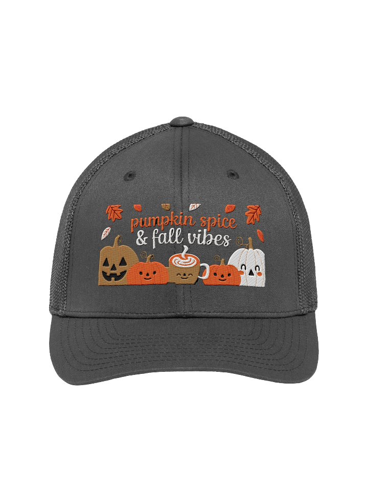 Pumpkin Spice & Fall Vibes product image (1)