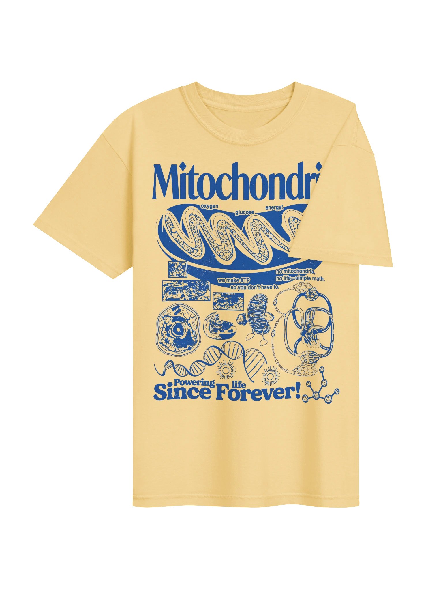 Mitochondria Graphic Tee,Biology Teacher Shirt, Comfort Colors Science Graphic Tee, Unisex product image (64)