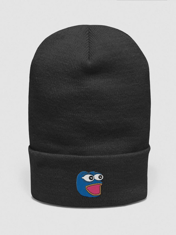 LAPISGPOG BEANIE product image (1)