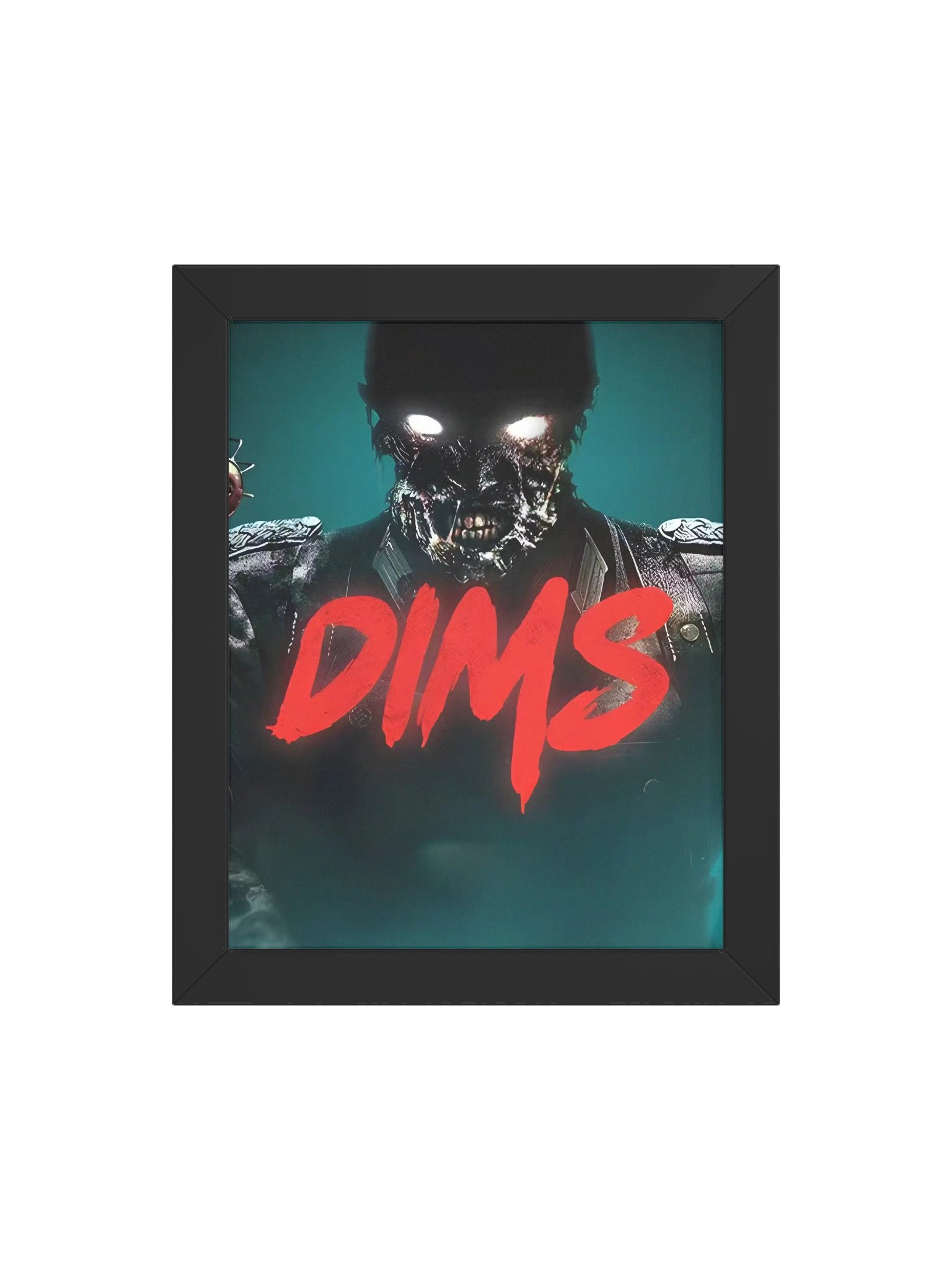 Cadre DIMS product image (7)