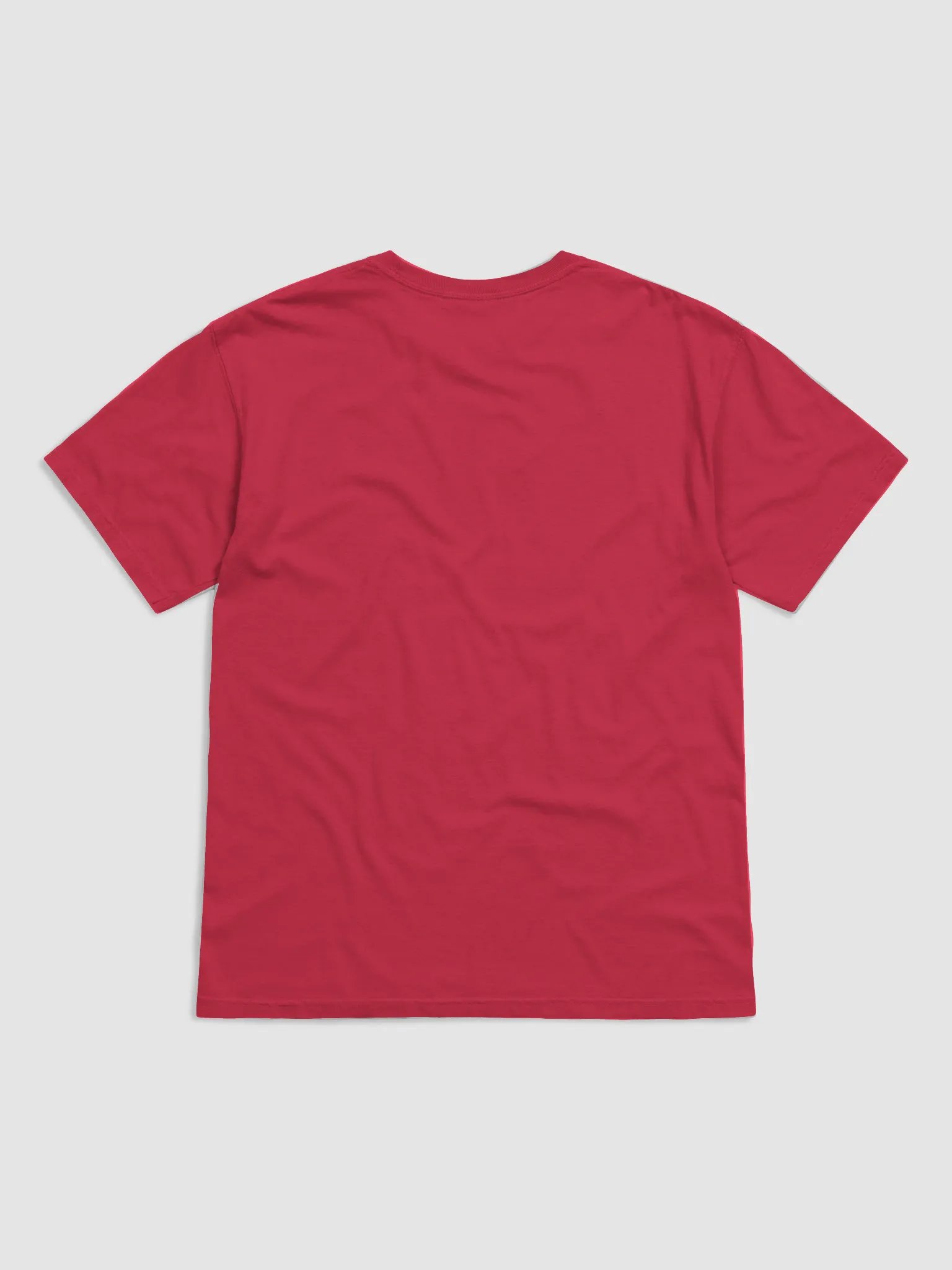 Always Watching: Heavyweight T-Shirt product image (21)