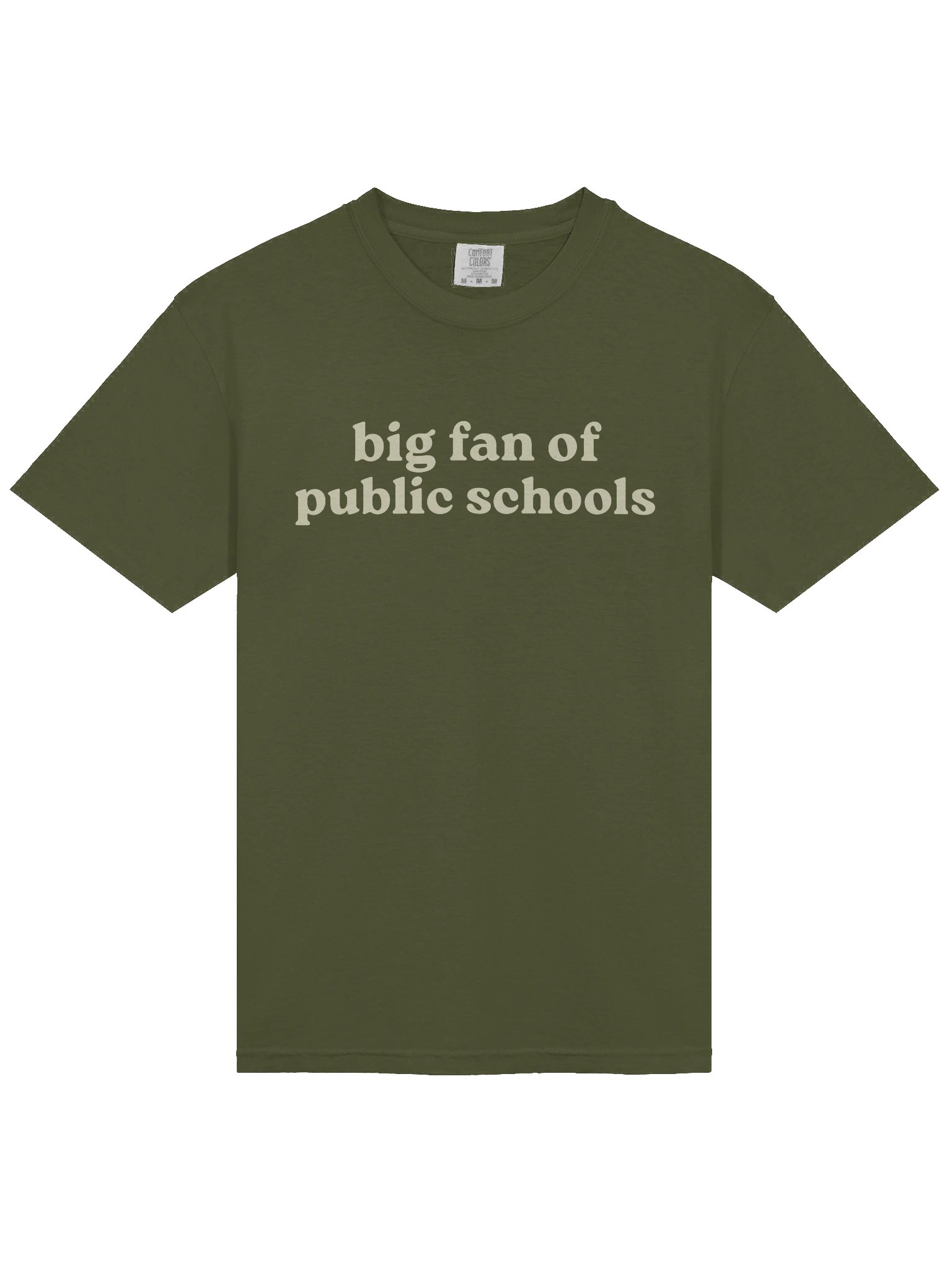 Big Fan of Public Schools Tee product image (3)