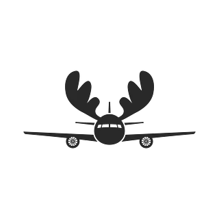 The Flying Moose