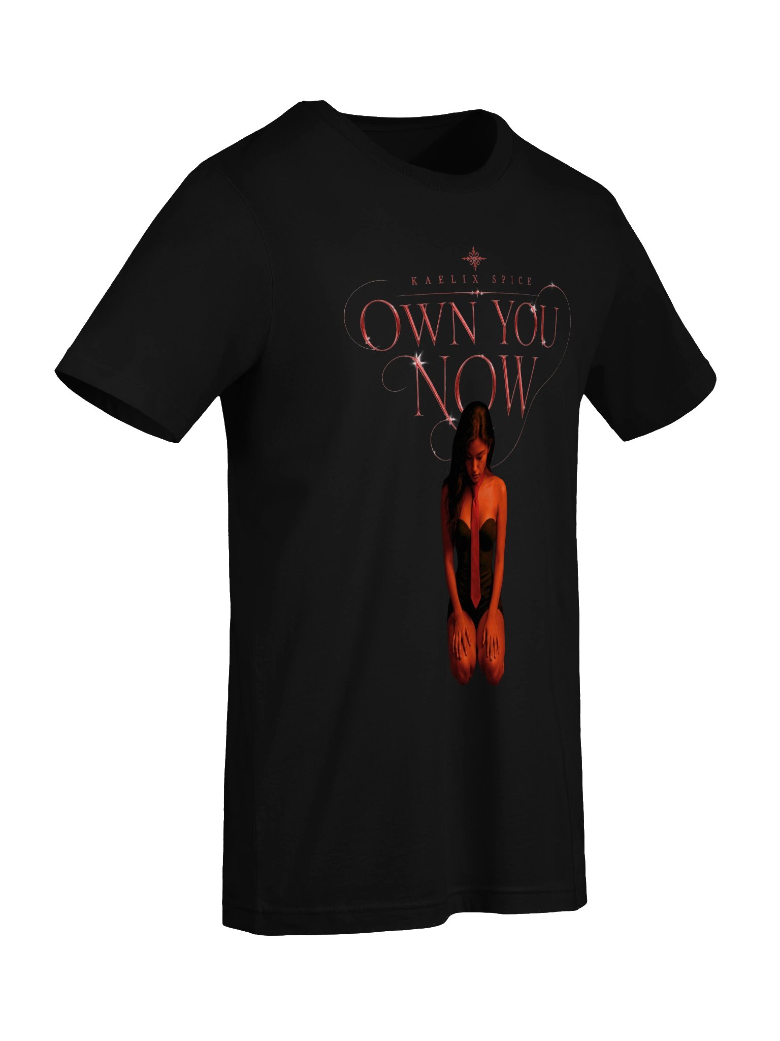 OWN YOU NOW UNISEX SOFT TEE product image (7)